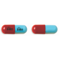 FLAMIC CAP 10mg 10x10's/BOX 外包裝成品